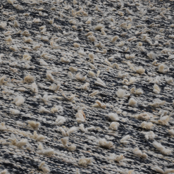 Kateha Woolly Vloerkleed -Vloerkleden winkel 2806609 Kateha Woolly blackwhite closeup 8509 300 4fa280d7c7